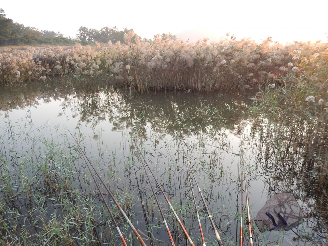 20141009 ��Ÿ����� 006.jpg