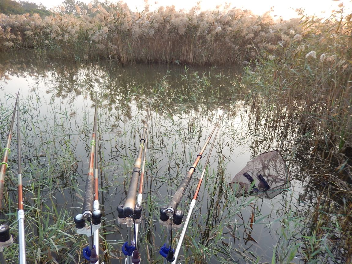 20141009 ��Ÿ����� 008.jpg