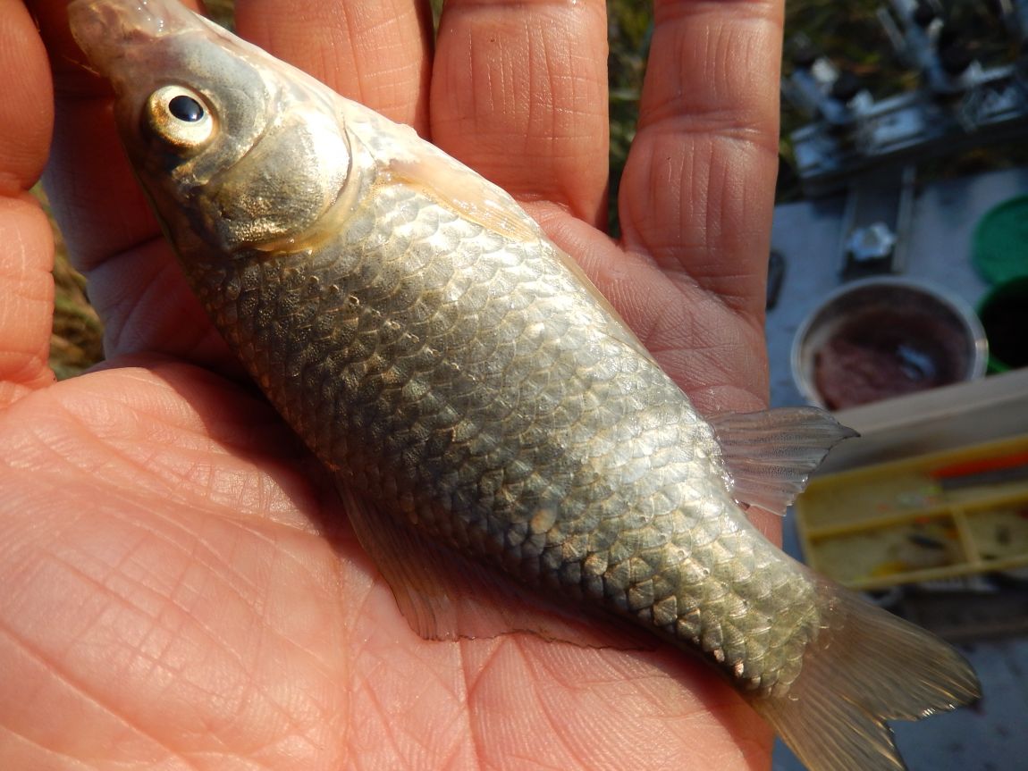 20141009 ��Ÿ����� 009.jpg