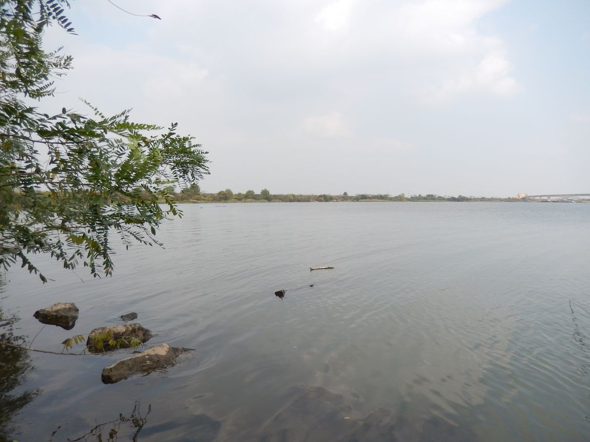 20141009 ��Ÿ����� 013.jpg