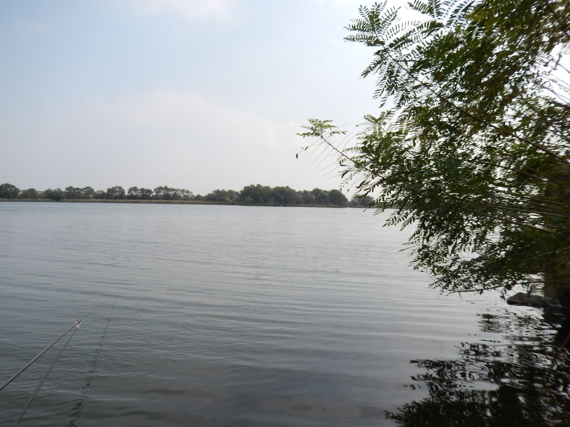 20141009 ��Ÿ����� 014.jpg