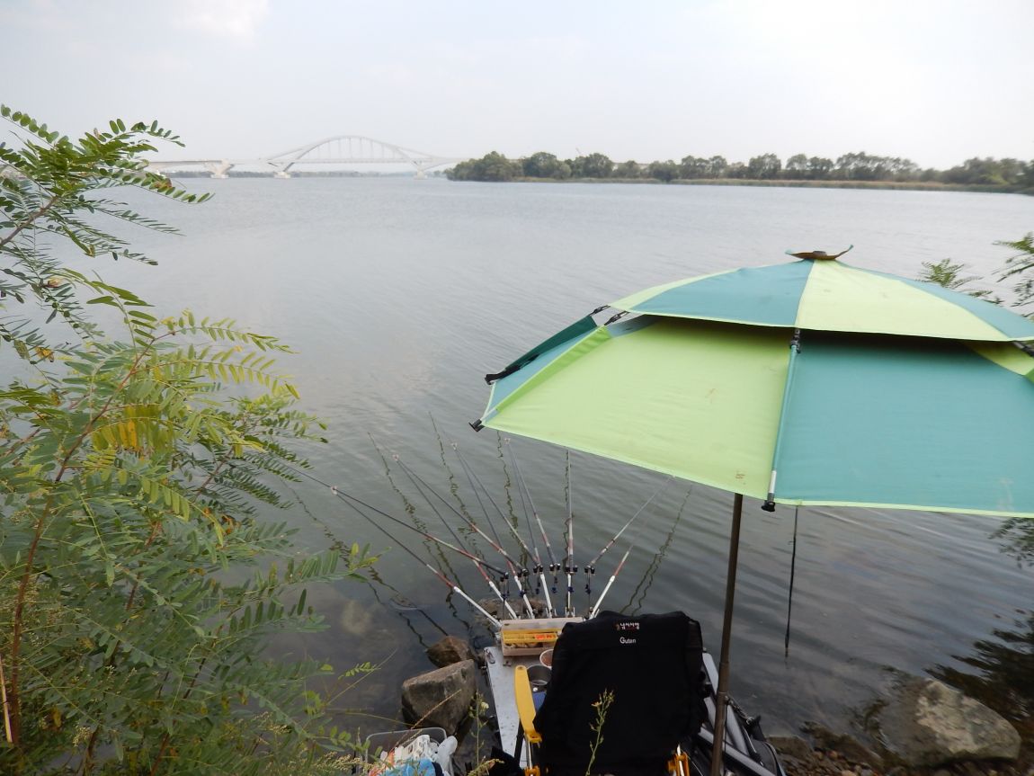 20141009 ��Ÿ����� 015.jpg