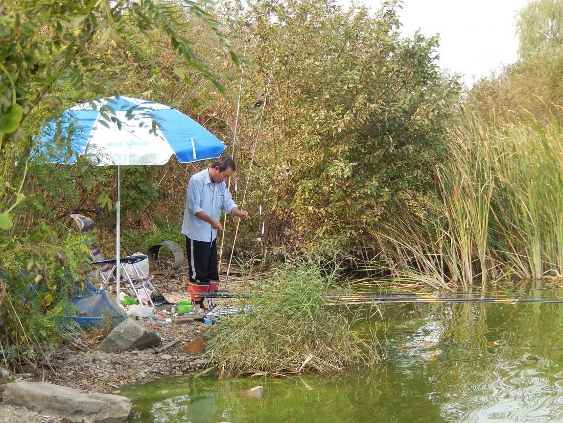 20141009 ��Ÿ����� 023.jpg