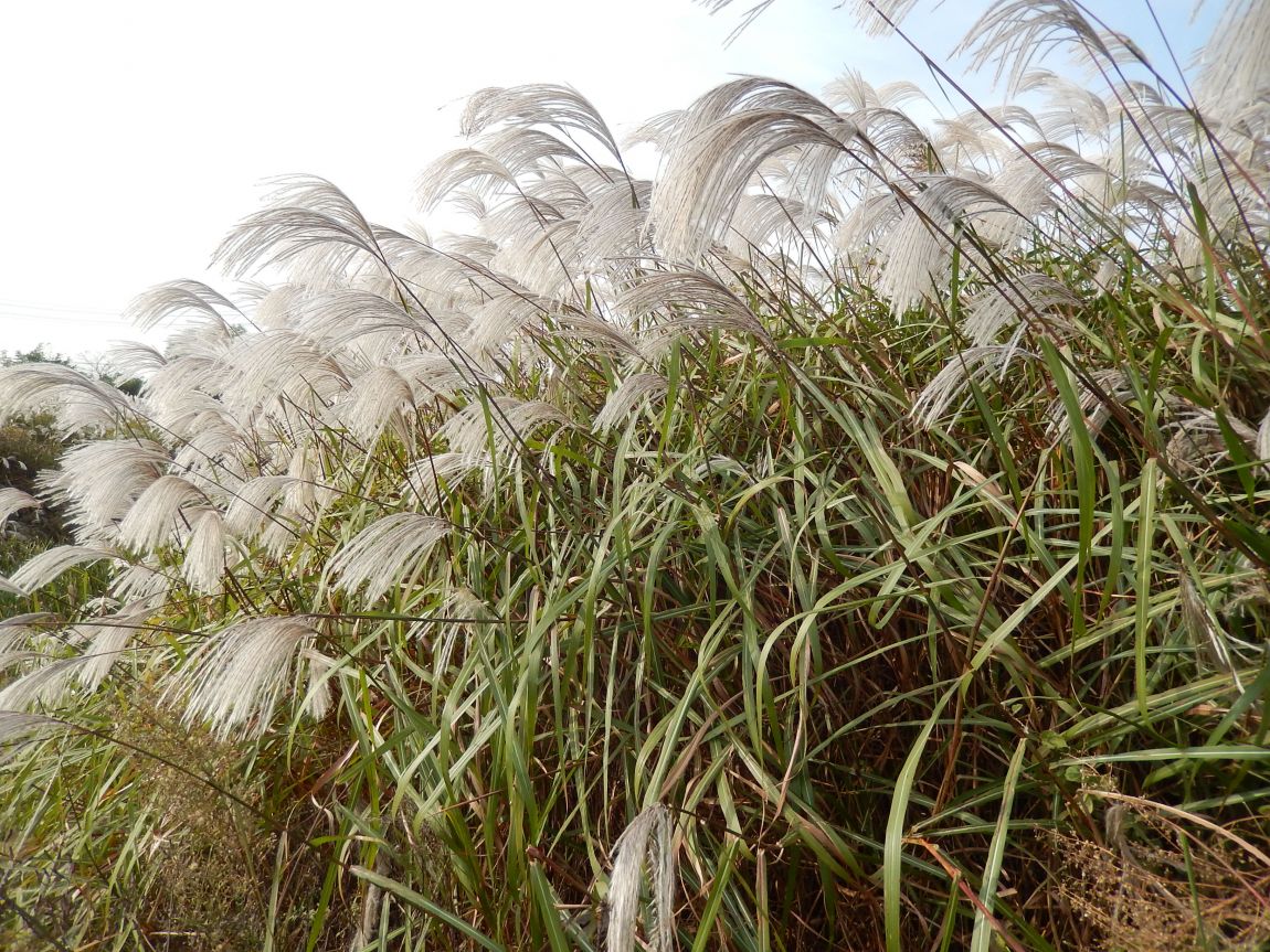 20141009 ��Ÿ����� 024.jpg