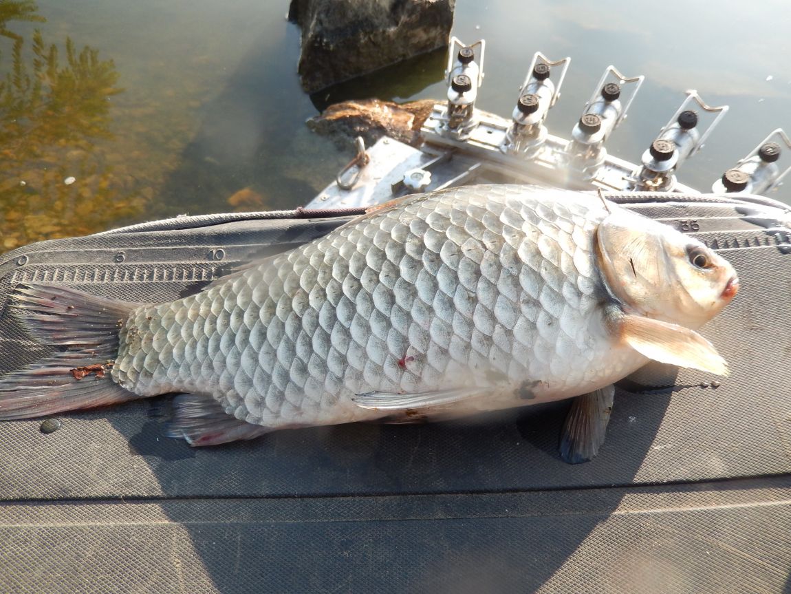 20141009 ��Ÿ����� 010.jpg