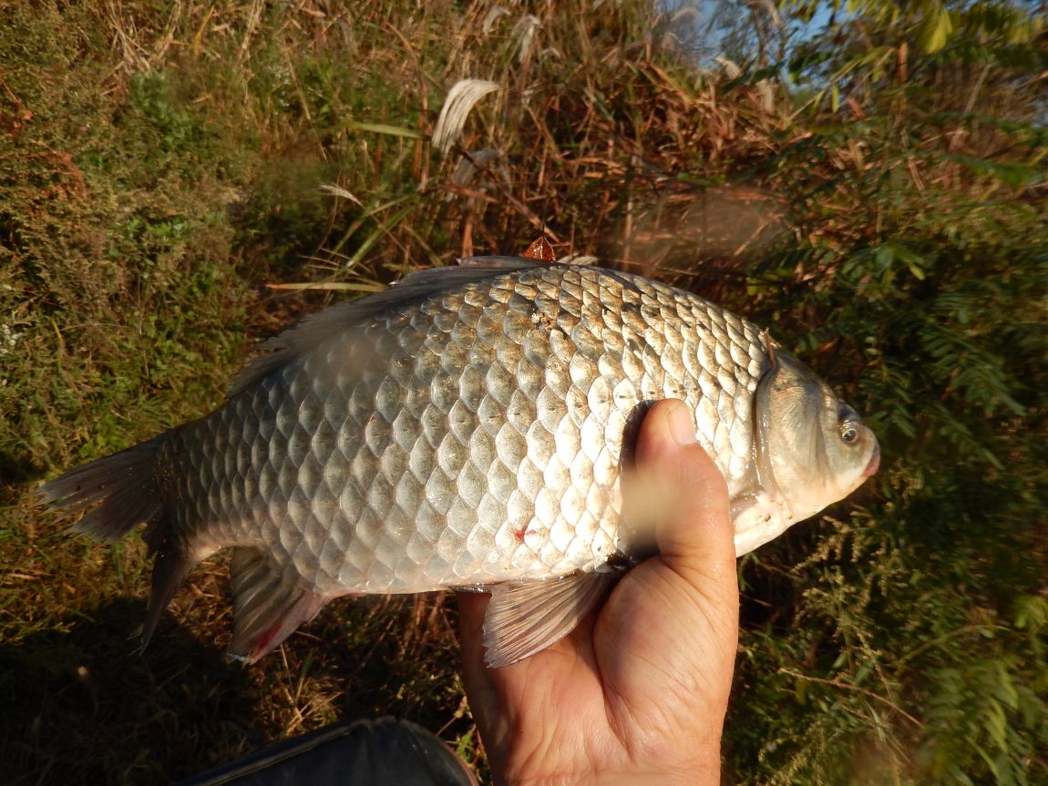 20141009 ��Ÿ����� 029.jpg