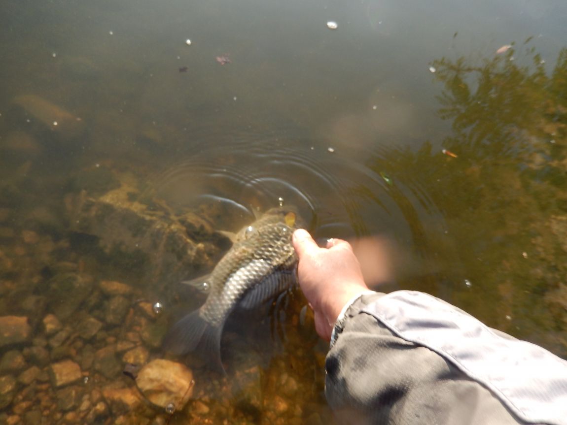 20141009 ��Ÿ����� 030.jpg