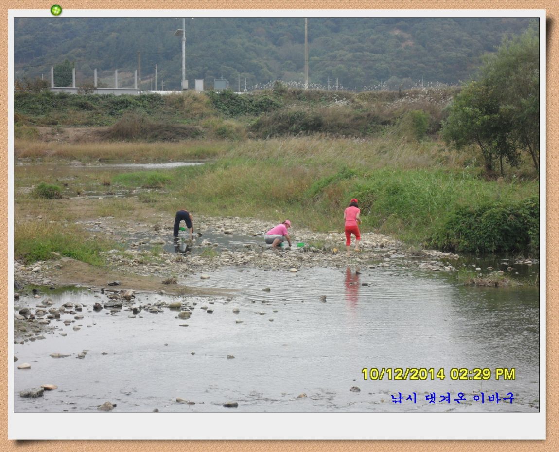 �ٹ̱�_SDC18809.jpg