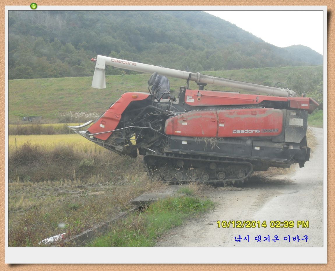 �ٹ̱�_SDC18810.jpg