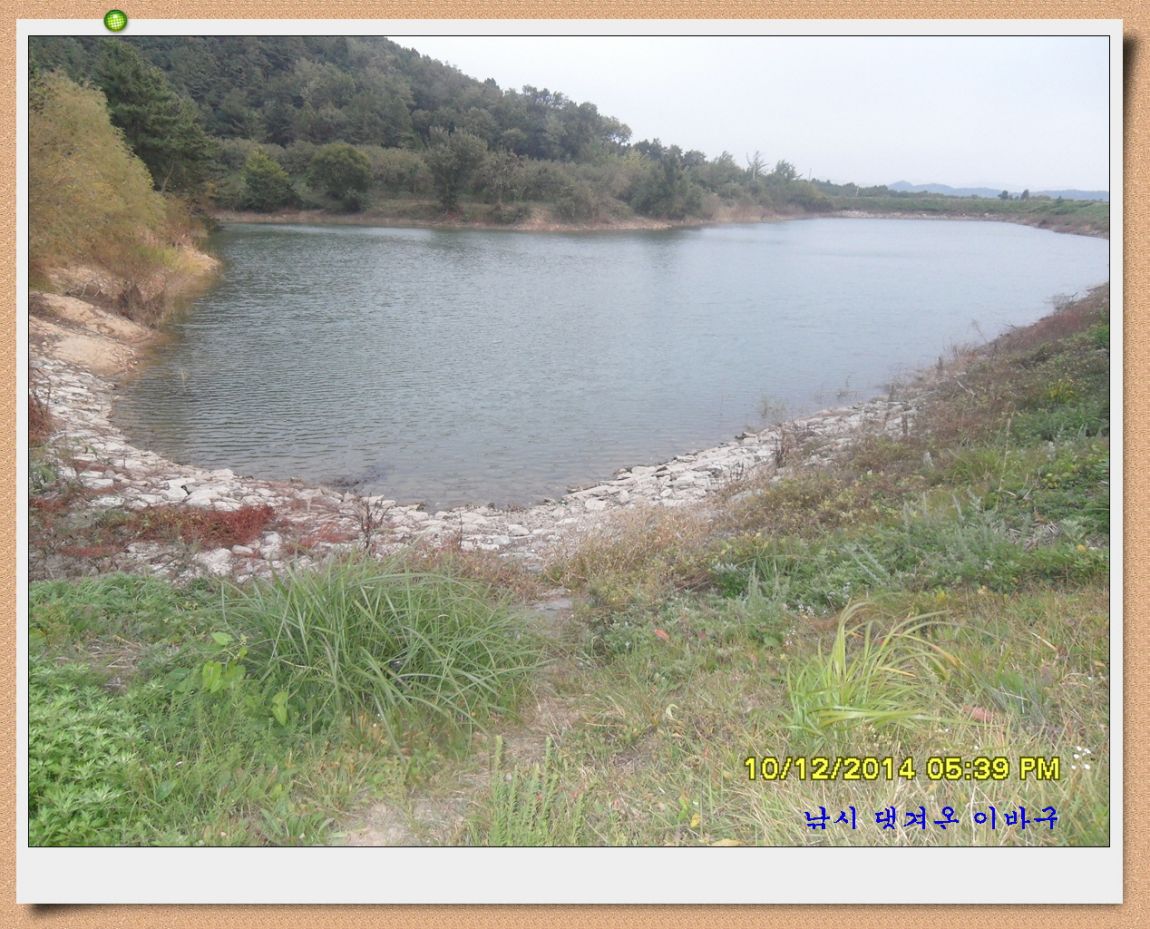 �ٹ̱�_SDC18820.jpg