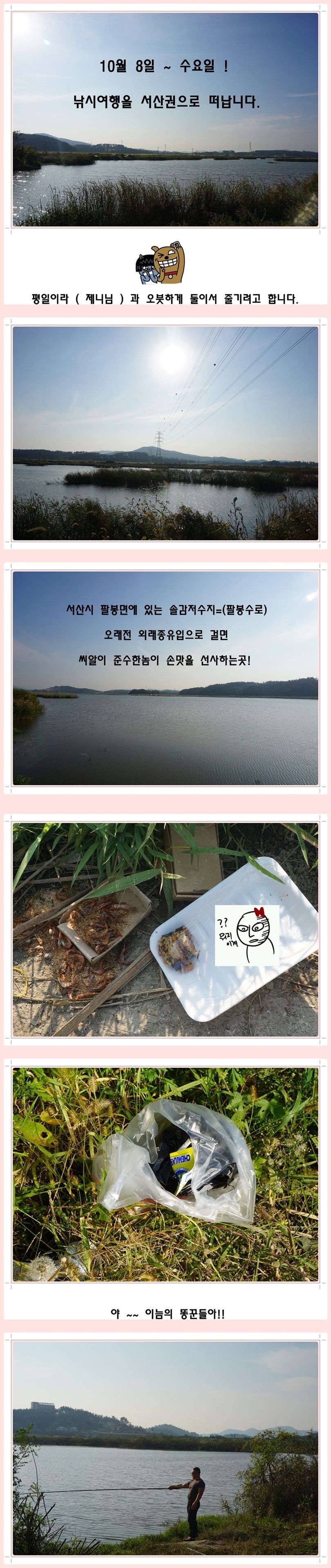 cats (2)-vert-vert.jpg