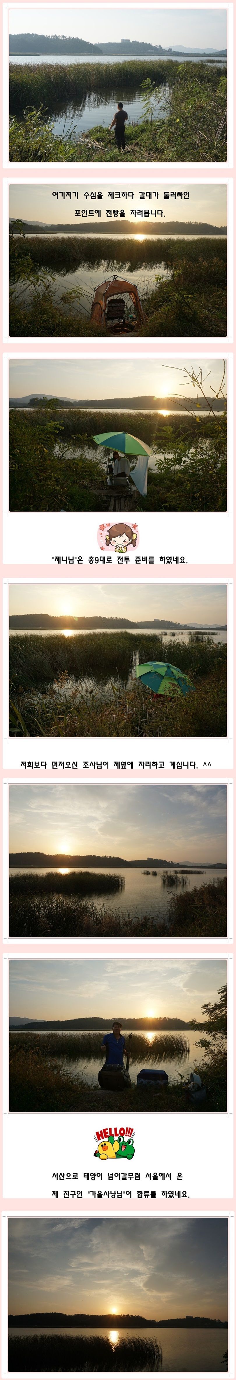 cats (8)-vert-vert.jpg