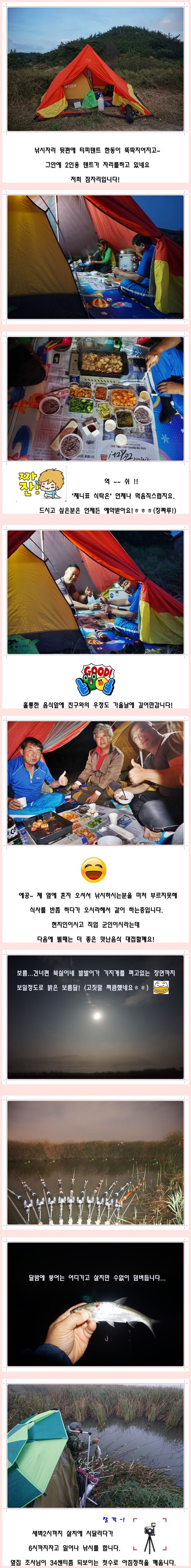 cats (15)-vert-vert.jpg