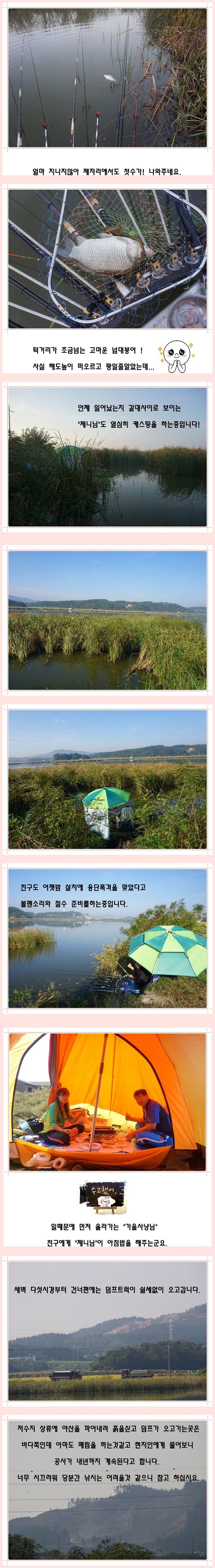 cats (24)-vert-vert.jpg