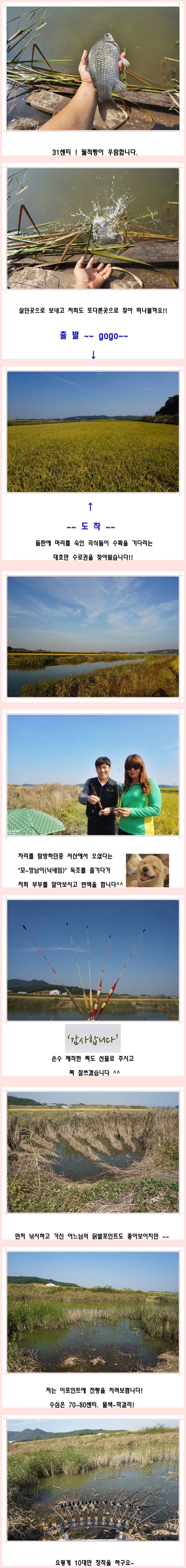 cats (33)-vert-vert.jpg