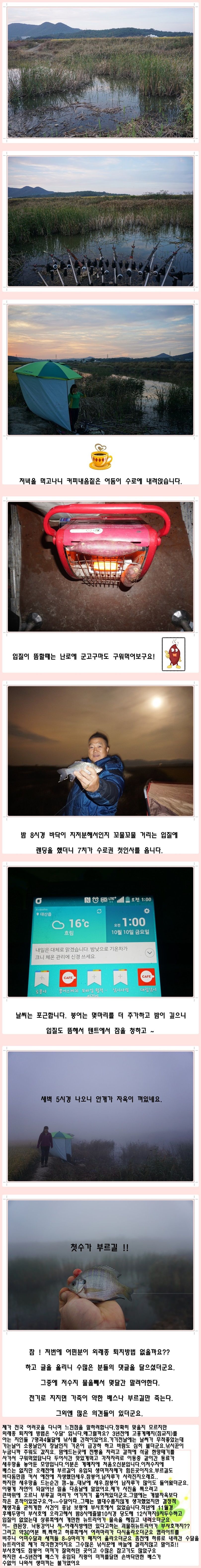 cats (51)-vert-vert.jpg