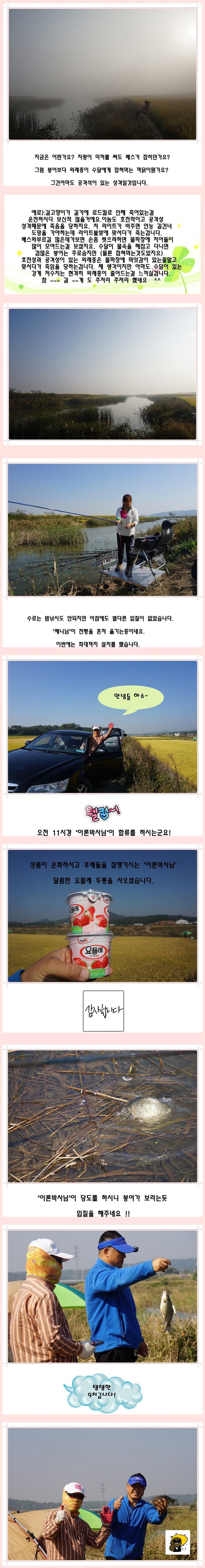 cats (60)-vert-vert.jpg