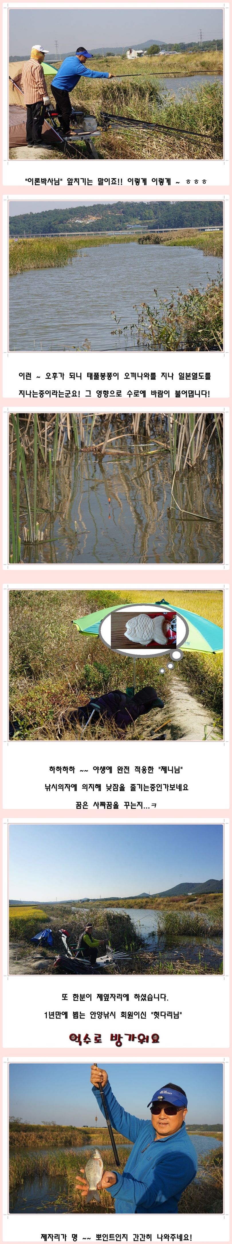 cats (69)-vert-vert.jpg