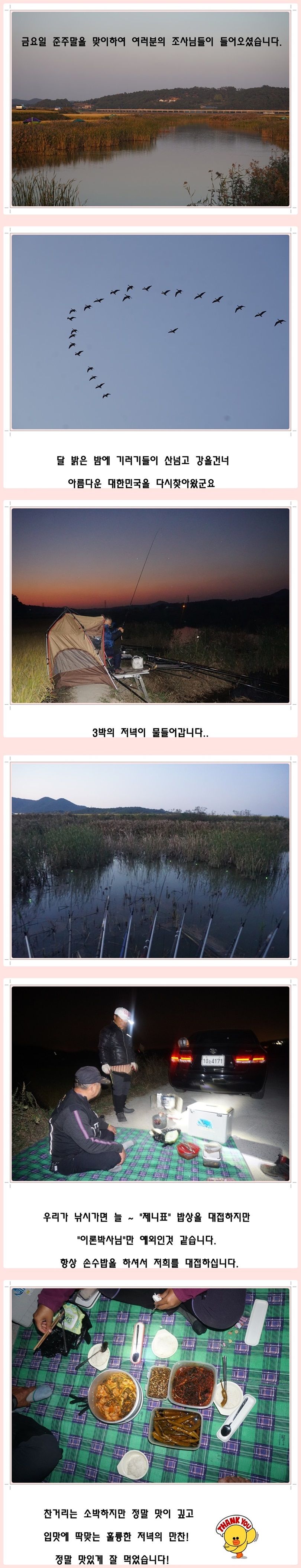 cats (75)-vert-vert.jpg