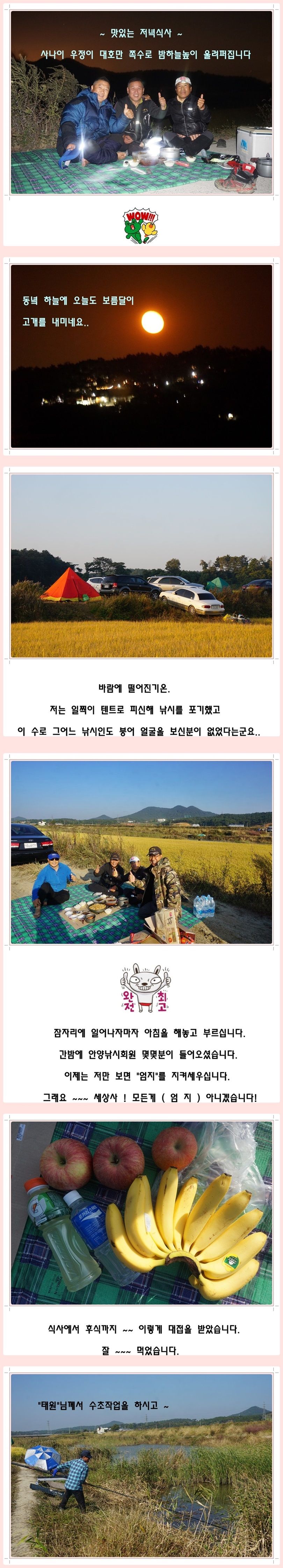 cats (81)-vert-vert.jpg