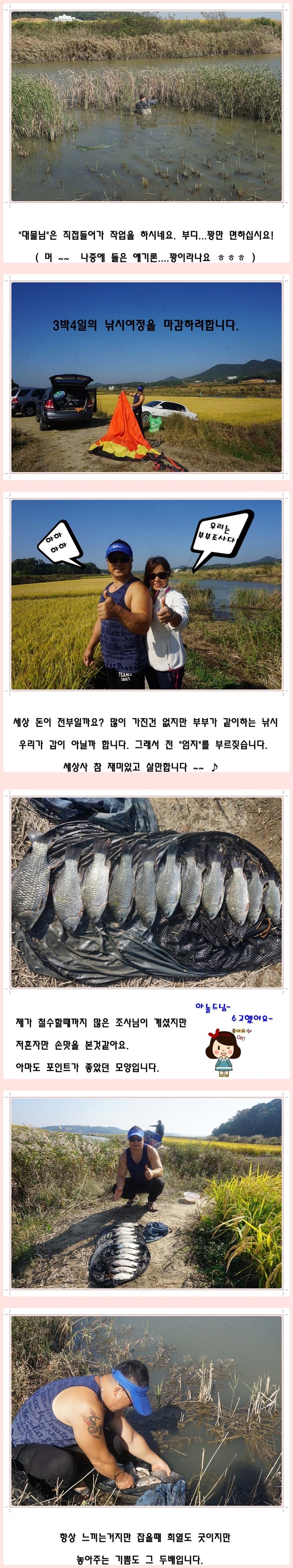 cats (87)-vert-vert.jpg