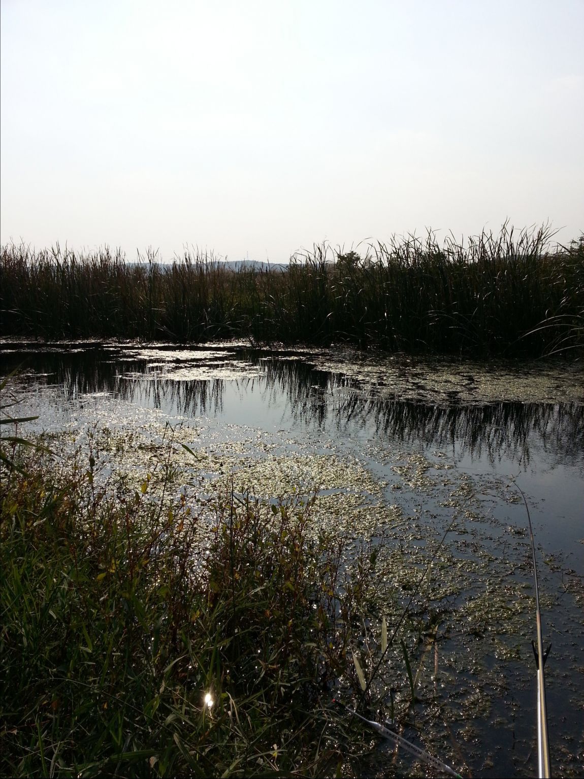 20141015_142746.jpg