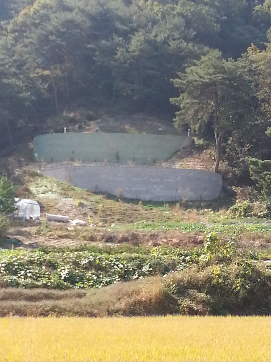 20141015_130519.jpg