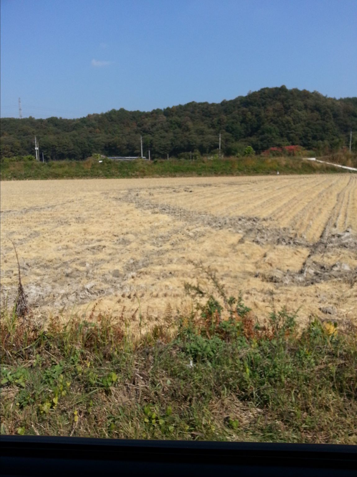 20141015_130611.jpg