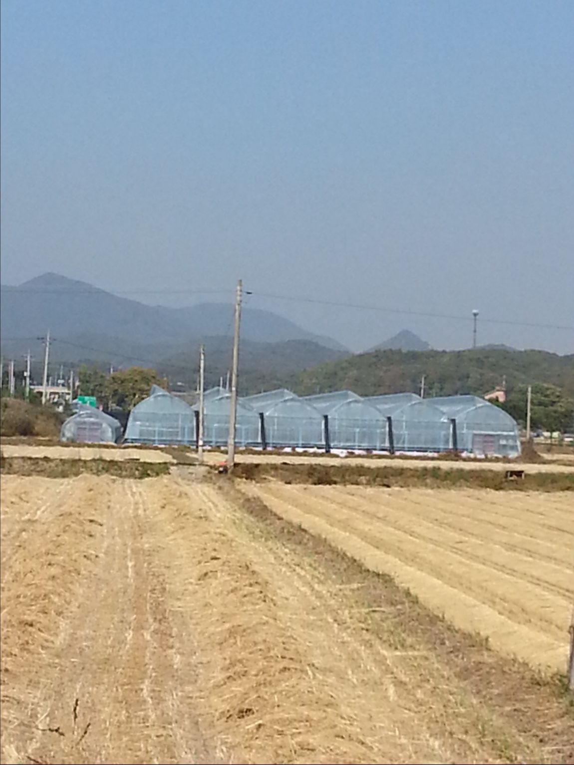 20141015_130821.jpg
