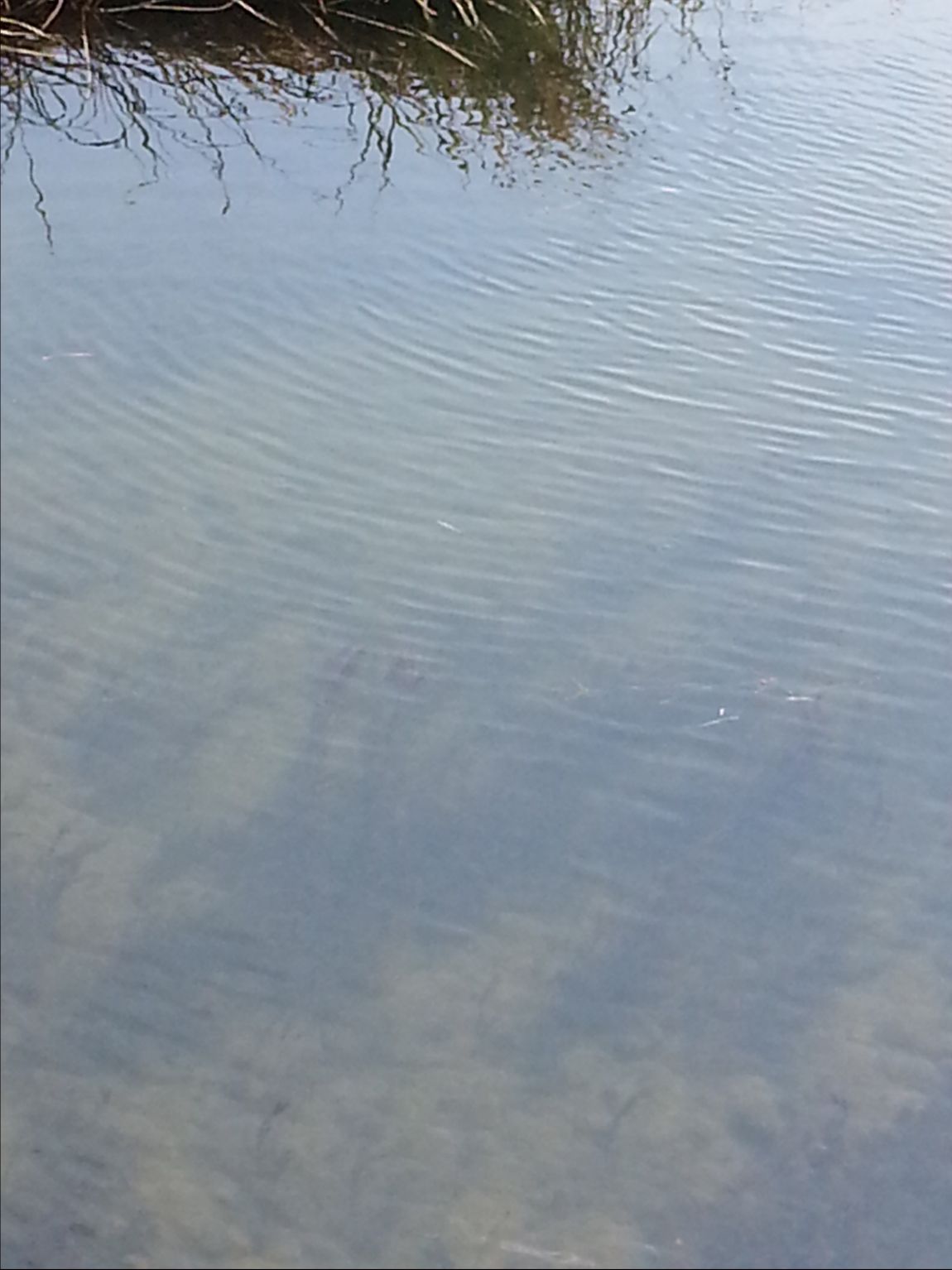 20141015_130956.jpg