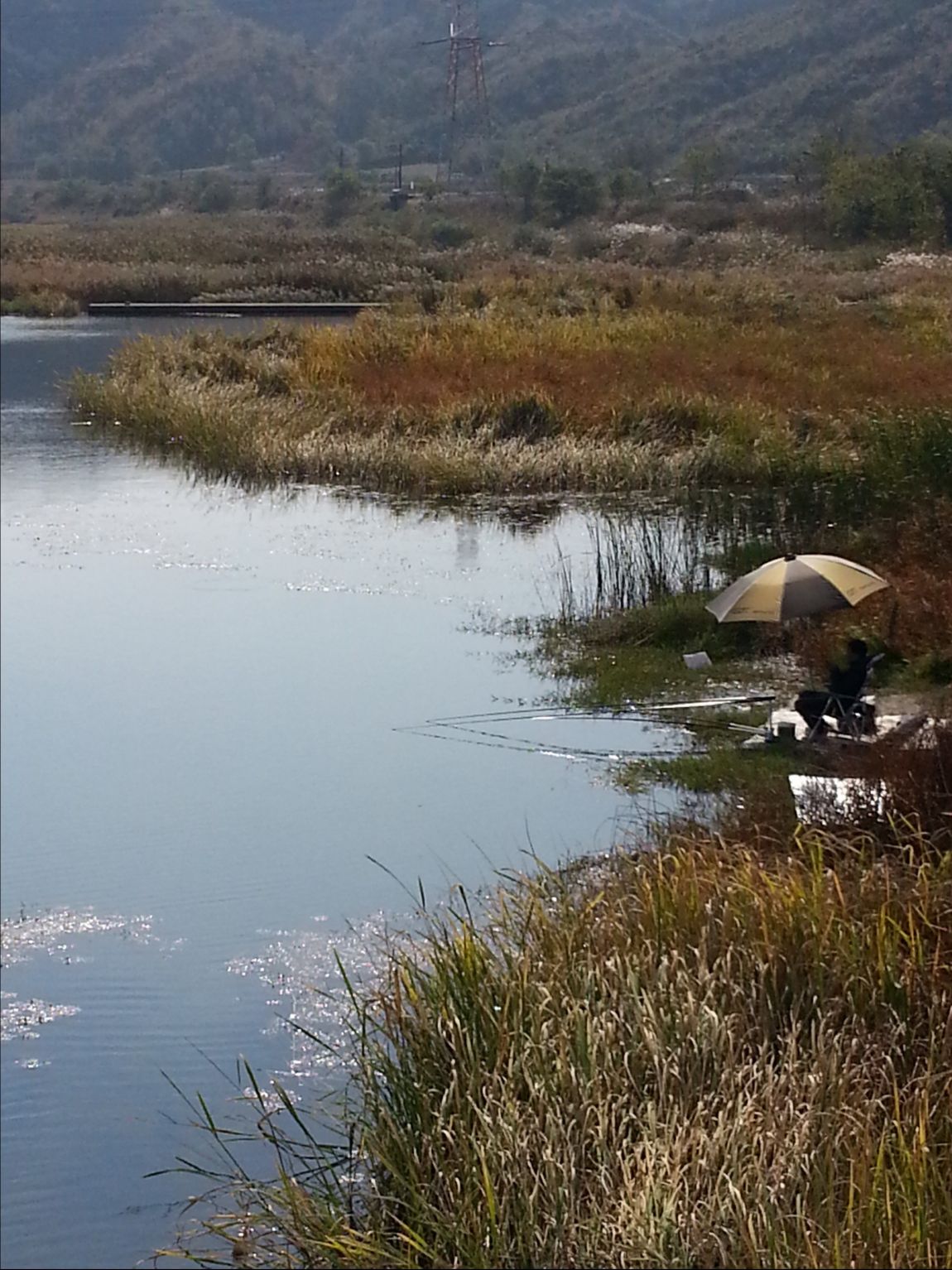 20141015_131002.jpg