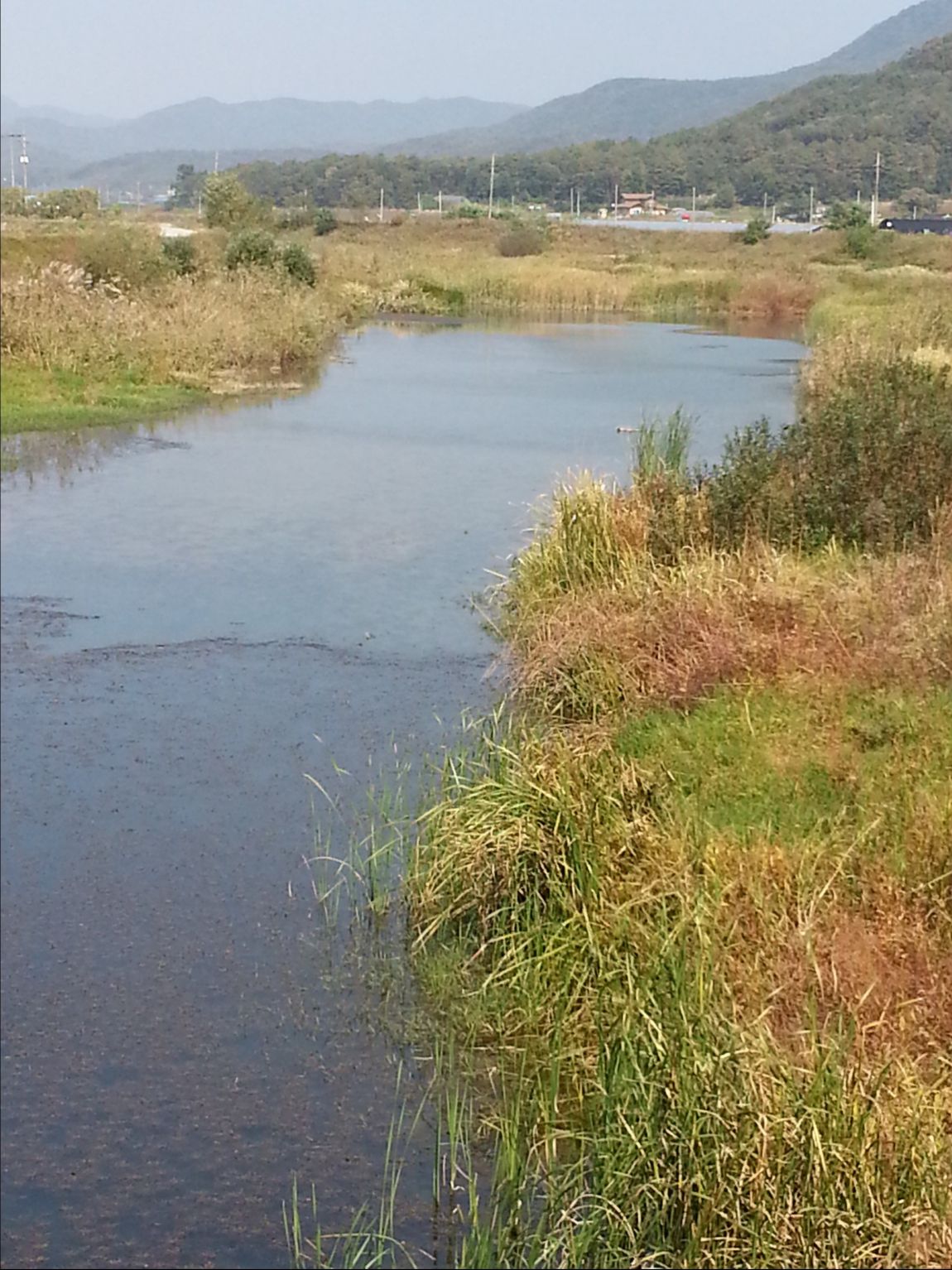 20141015_131012.jpg