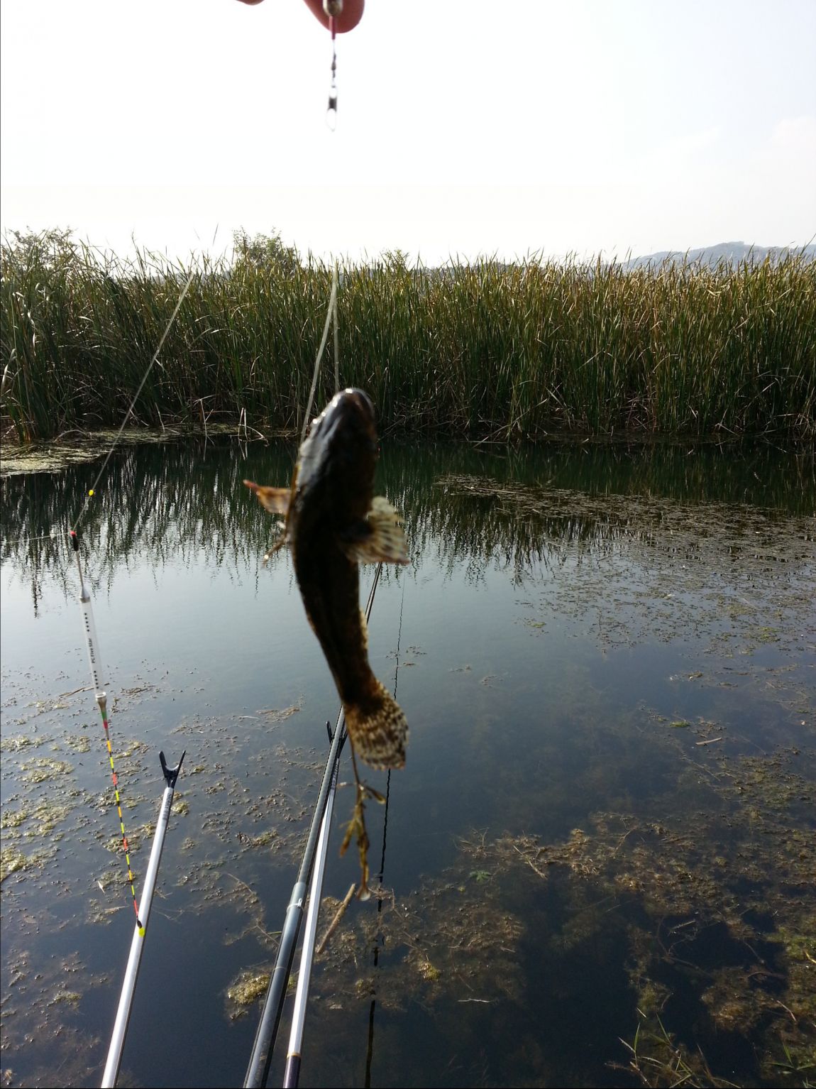 20141015_142738.jpg