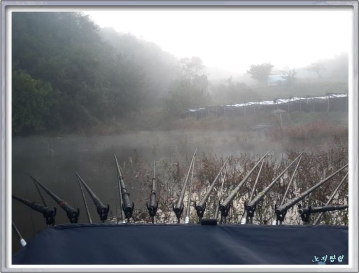 2014-10-20 18;12;50.jpg