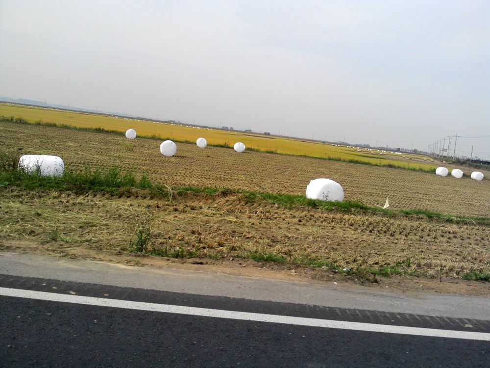 2014-10-19 13.20.25.jpg