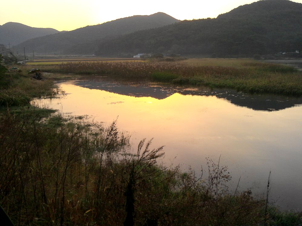 2014-10-19 07.02.13.jpg