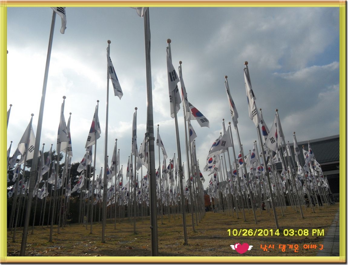 �ٹ̱�_SDC19236.jpg