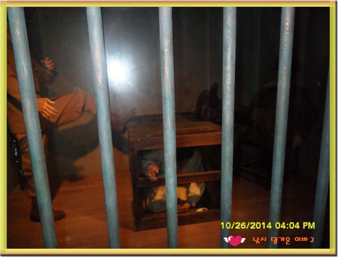 �ٹ̱�_SDC19252.jpg