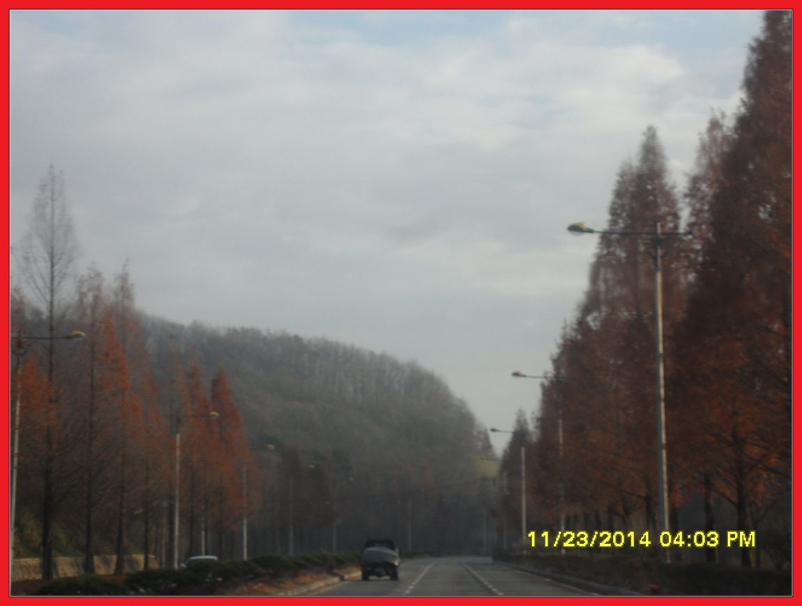 SDC10009.jpg