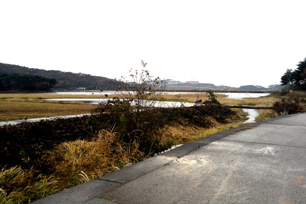 2014-11-22 16.08.51.jpg