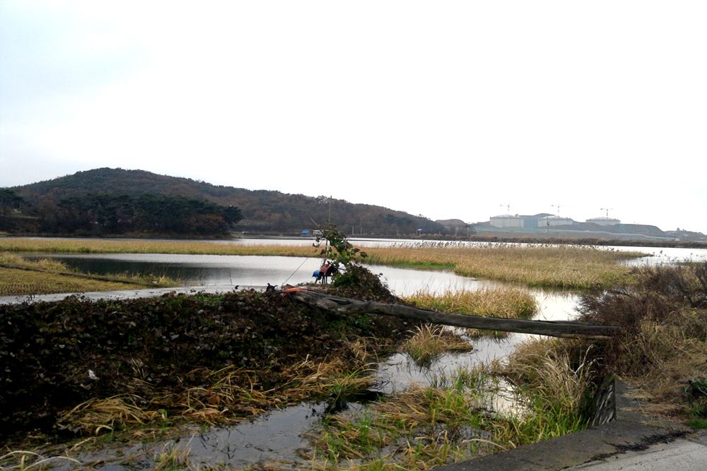 2014-11-22 16.09.17.jpg