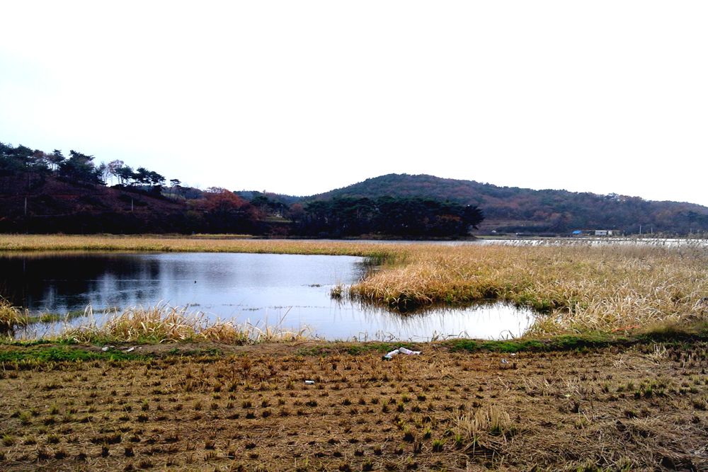 2014-11-22 16.09.34.jpg