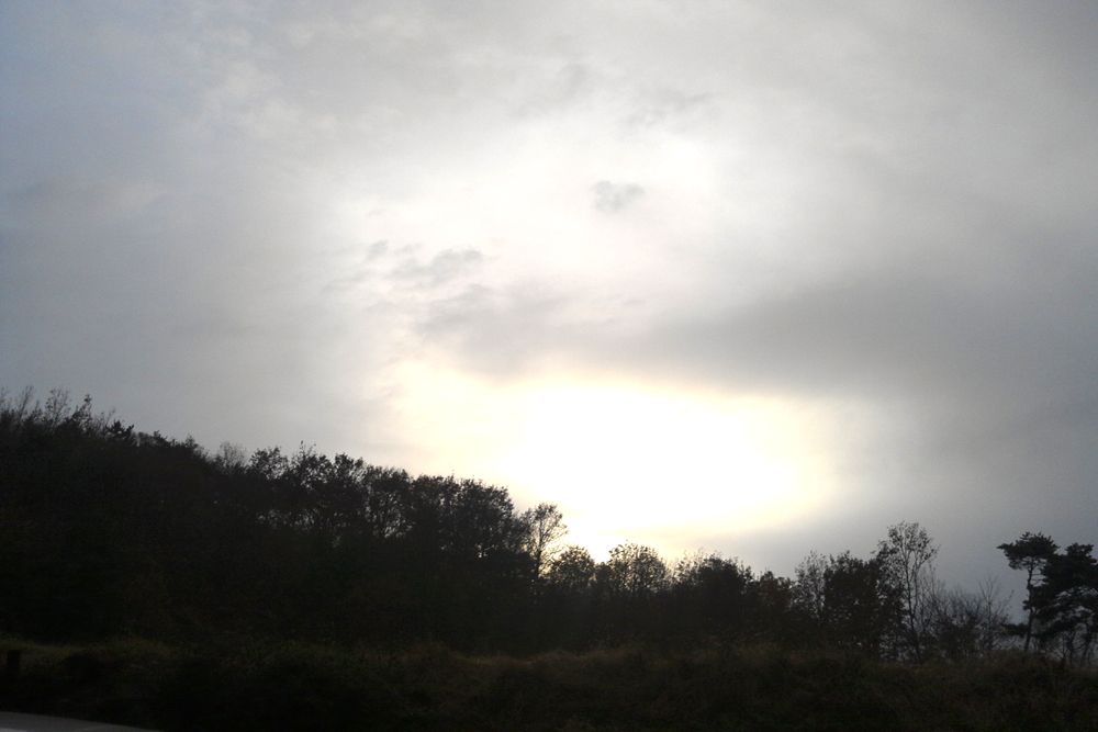 2014-11-22 16.14.54.jpg