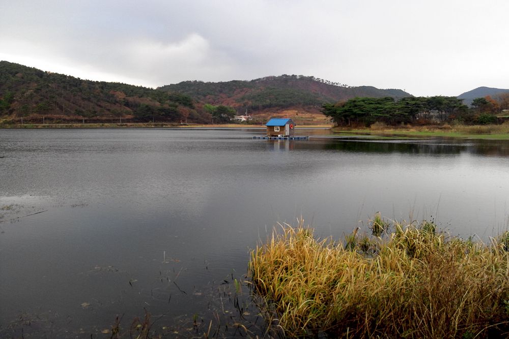 2014-11-22 16.14.11.jpg