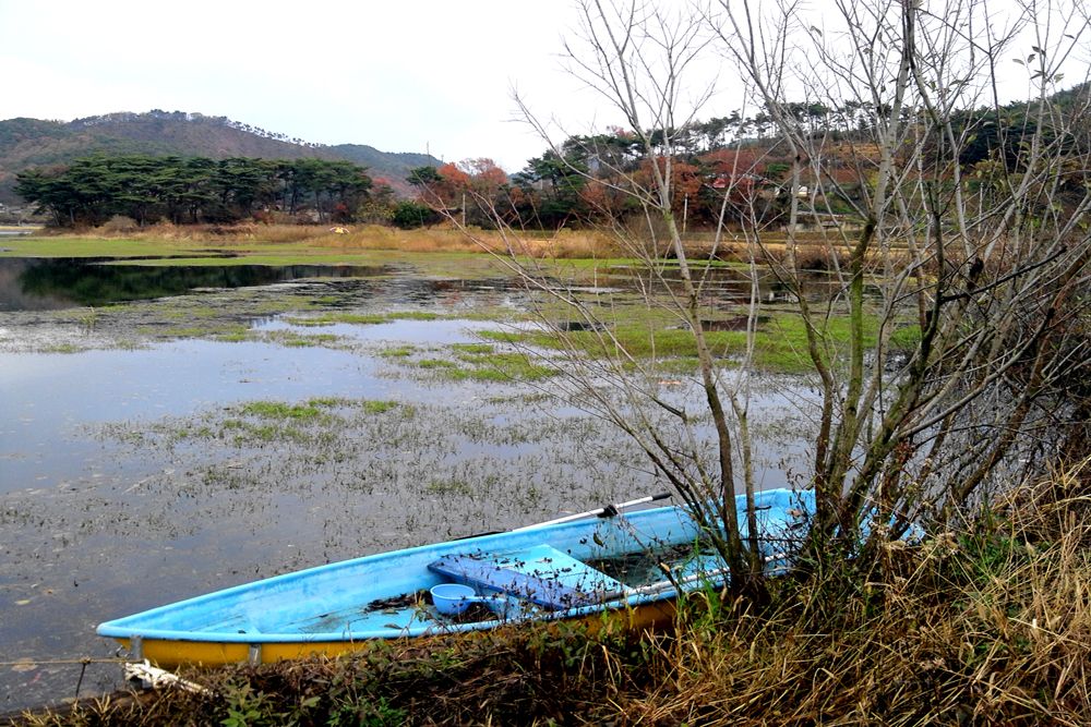 2014-11-22 16.21.12.jpg