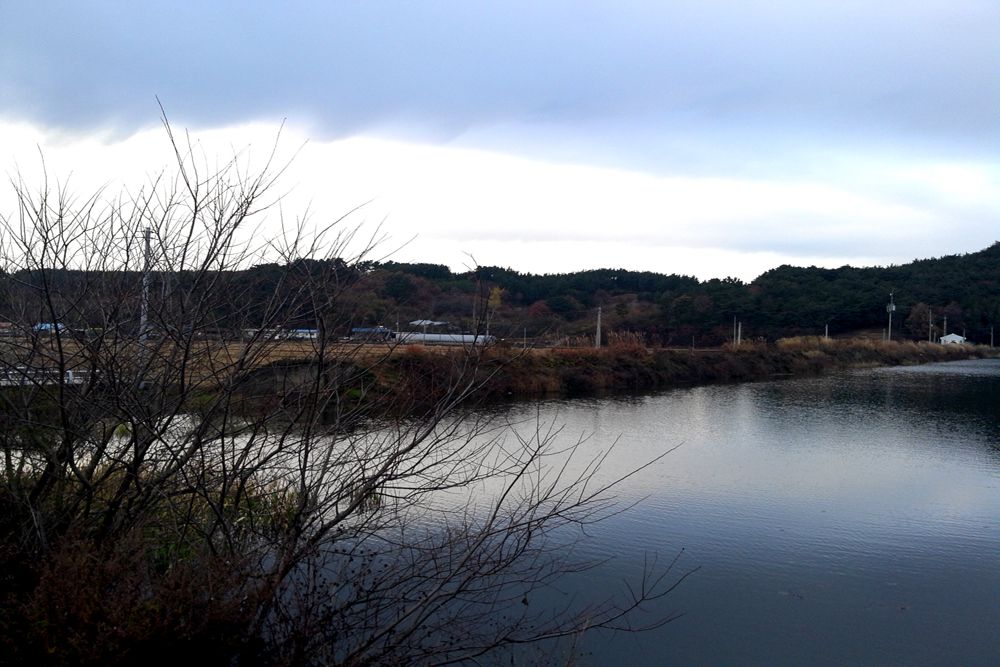 2014-11-22 16.22.15.jpg