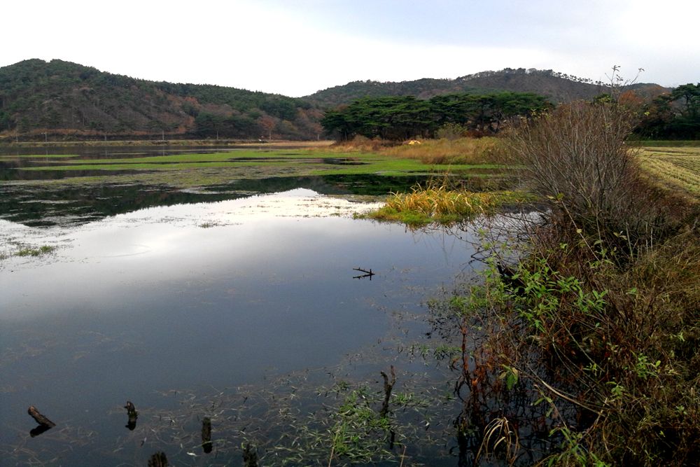 2014-11-22 16.24.25.jpg