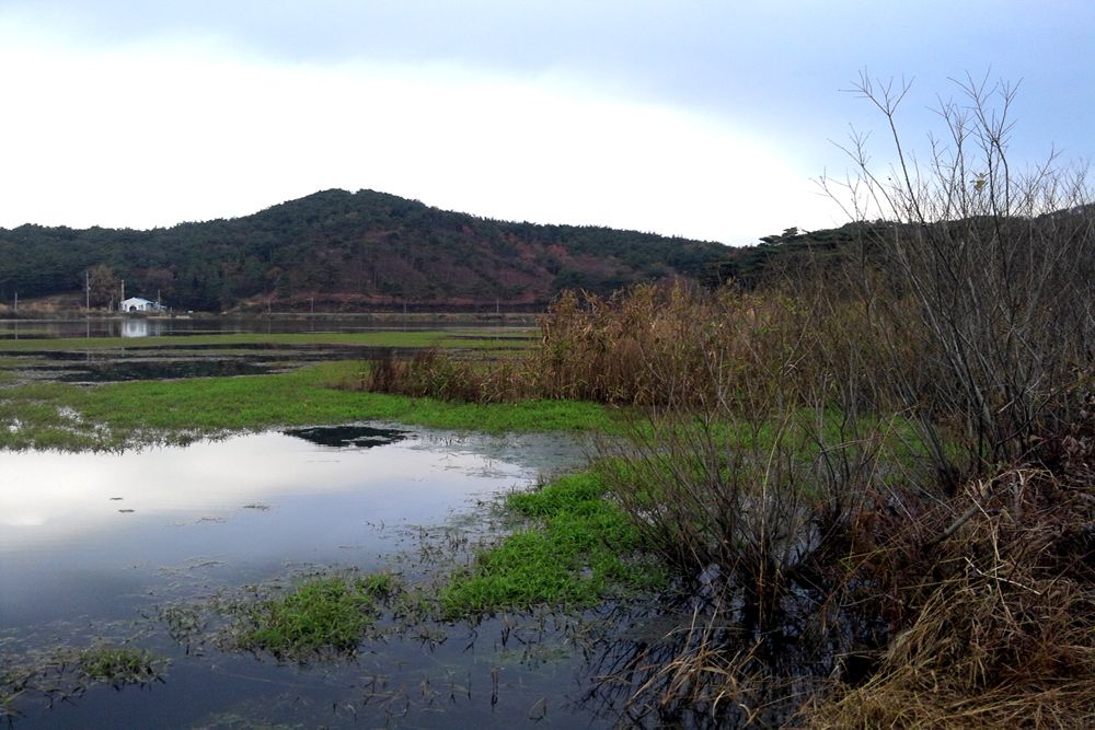 2014-11-22 16.25.14.jpg