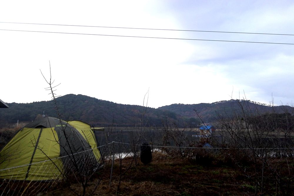 2014-11-22 17.16.36.jpg