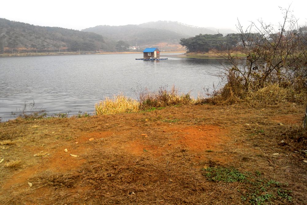 2014-11-23 13.21.49.jpg